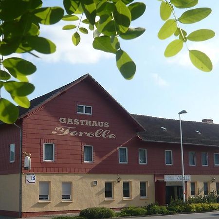 Gasthaus Forelle Тале Екстериор снимка