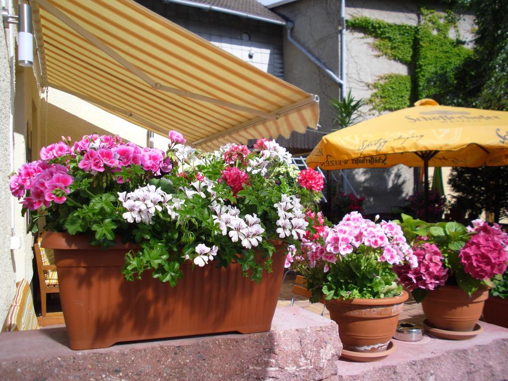 Gasthaus Forelle Тале Екстериор снимка