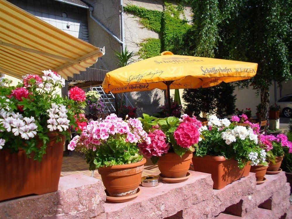 Gasthaus Forelle Тале Екстериор снимка